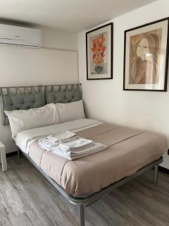 Penthouse near the historic center - 0