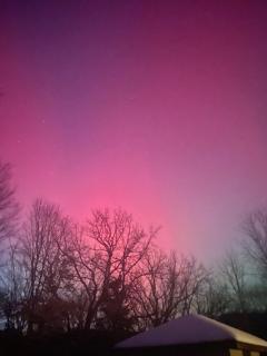 Lake Trail Cottage - 9