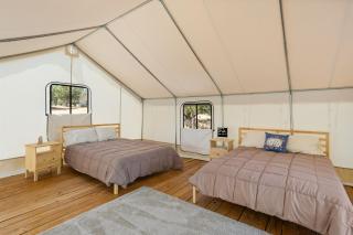 Soft Lights, Cozy Rest, and Open Night Skies - 6