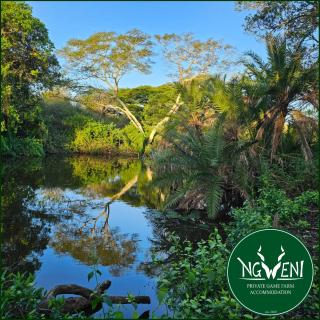 Wellust Bush Cottage at Ngweni Private Game Farm - 4