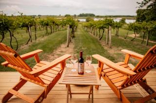 Cozy Wine Country Retreat at Painted Prairie - 2