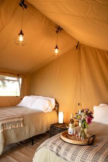 Boutique Vineyard Stay at Painted Prairie - 7