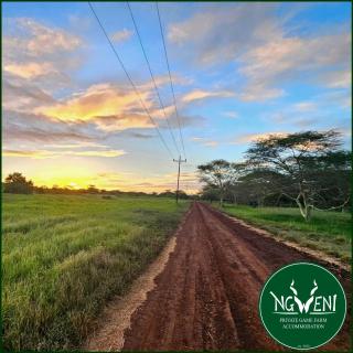 Wellust Bush Cottage at Ngweni Private Game Farm - 6