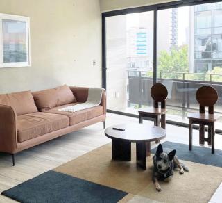 Modern Apartment Condesa - 4