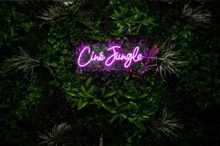 La Canopée Jurassienne - 2