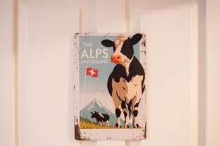 Little Nest -ganzes Loft Nähe Aarau,zwischen Seen und Schlössern, Hund - 8