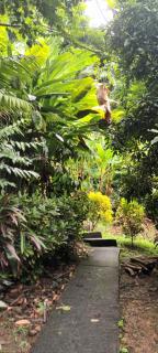 Martinique La petite maison dans la Colline - 8