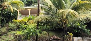 Martinique La petite maison dans la Colline - 9