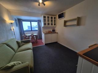 Appartement lumineux avec balcon Skis aux pieds - FR-1-502-412 - 7