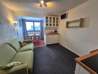 Appartement lumineux avec balcon Skis aux pieds - FR-1-502-412 - 3