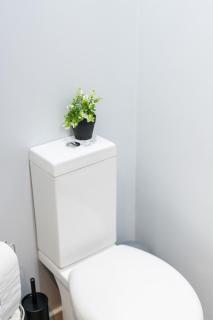 Modern 1BR Apartment in Wallfield - City Location - 3