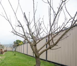 AhiKaa Gisborne Motel - 4