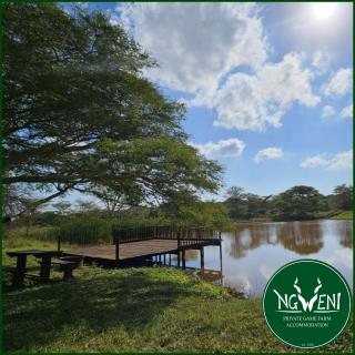Off-Grid Campsites at Ngweni Private Game Farm Accommodation - 4
