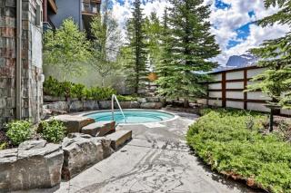 Fantastic Mountain View - Hot Tubs & Steam Room - 7