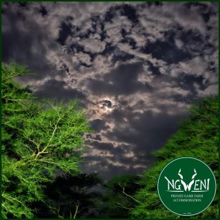 Off-Grid Campsites at Ngweni Private Game Farm Accommodation - 6