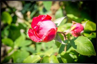 Holiday Home Sofia - 4