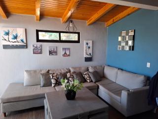 Cabaña "Alexa", en el corazón del bosque de Mazamitla - 6