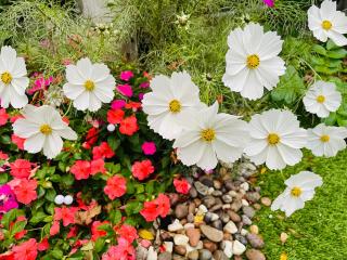 The Lakeside Redbridge - 9