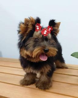 Transamérica Executive Campos dos Goytacazes - 1