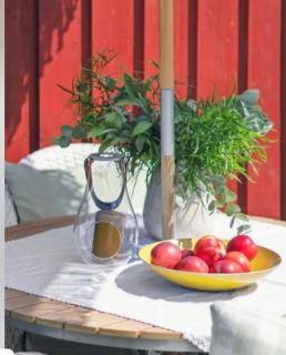 Rønningen Panorama - 5