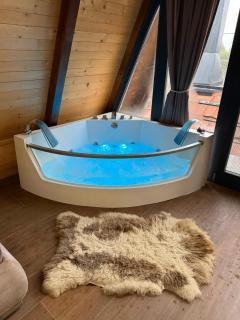 Beaver lodge - Dabrova Koliba - 4