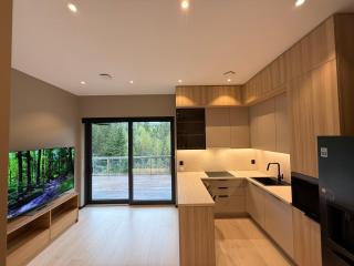 Modern apartment near Gardermoent airport - 1