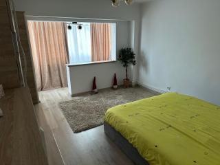 Garsoniera aproape de Promenada Mall - 9