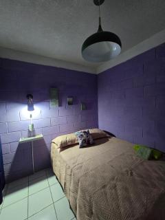 central and private apartment - 2