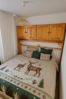 Family Lodge Grand Tetras Les Angles - 8