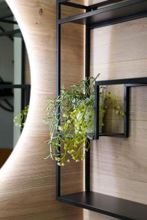 Appartamenti Armida - 2