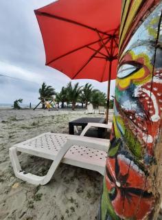 Manglar escondido - 4