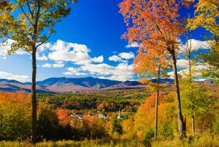 147 Studio Spruce Peak Lodge at Stowe Mt Resort Sleeps 4 - 8