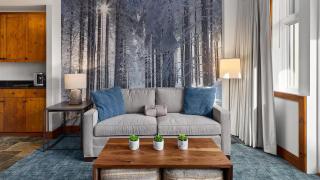 227 One Bedroom Spruce Peak Lodge at Stowe Mt Resort Sleeps 4 - Stowe - 8