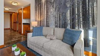 227 One Bedroom Spruce Peak Lodge at Stowe Mt Resort Sleeps 4 - Stowe - 6