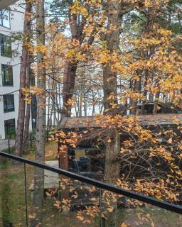 BalticJetSilverSea - 5