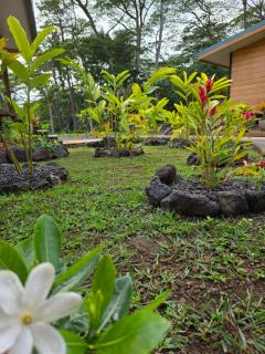 Revatua Lodge Puuru - Piscine privée et Petit-déjeuner inclus - 4