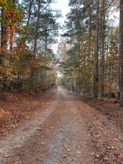 2 BR House in Alpharetta - 6