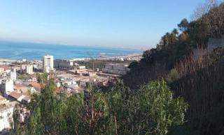 Apartment 1, Family, Moorish Villa - 3