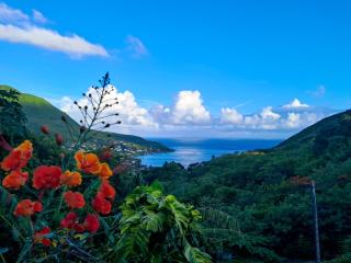 Les dessus de Petite Anse - Les Anses-dʼArlets - 2