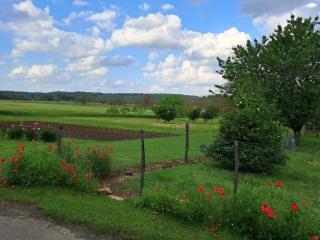 La maison aux volets bleus Chambre cosy et vintage à la campagne - 1