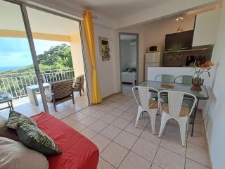 Les dessus de Petite Anse - Les Anses-dʼArlets - 9