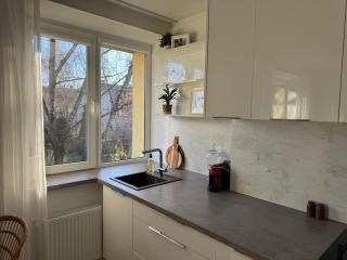 Calm Stay Teika Apartment - 9