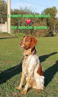 Casa nonna Elvia Elvia's Grandma home - 8