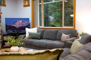 Snowline Hillside Chalet - 1