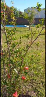 Atardeceres en La casita de Roldan - 3