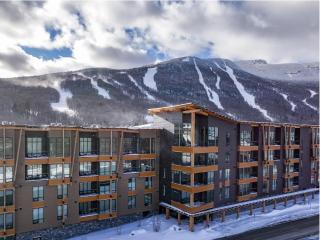 213- Spruce Peak Lodge Mountainside 3 Bed Treehouse unit sleeps 11 - 8