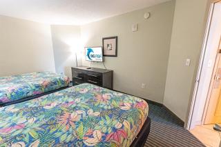 Renovated, contemporary,Nice,low-floor,Oceanfront! - 2