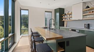 411 Spruce Peak Stowe Mountain Resort New Treehouse unit Ski in Ski out 4 bed sleeps 12 - 1