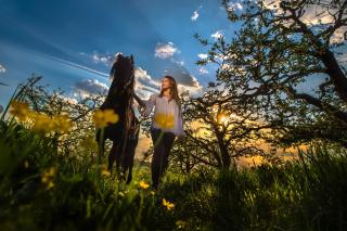 Pensiunea Ținutul Mărului - 9