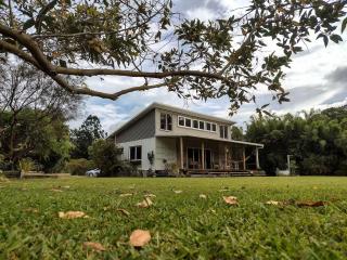 Light-filled Nature Haven Eco Home - 3